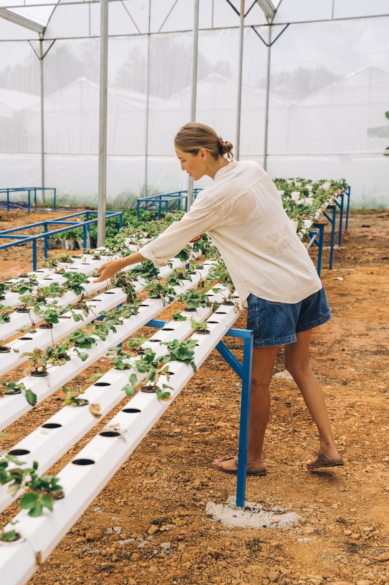Plant science you can actually talk to.